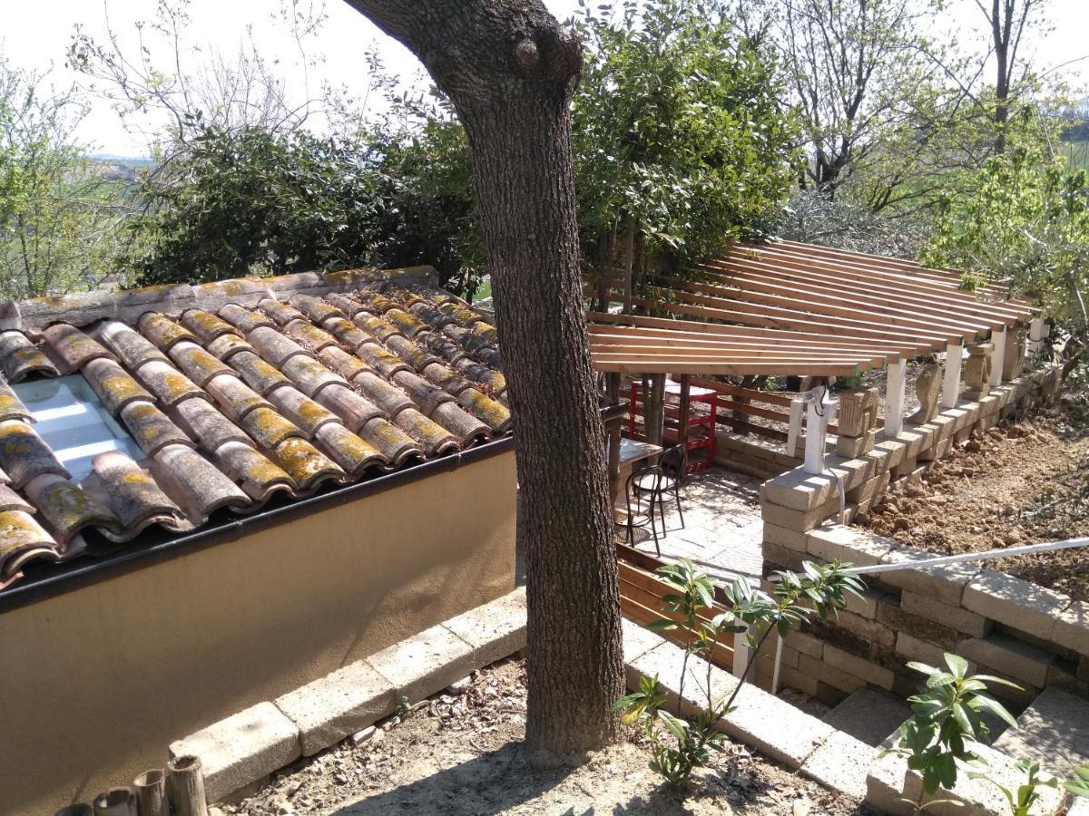 Barbagianni Villa Senigallia Buitenkant foto