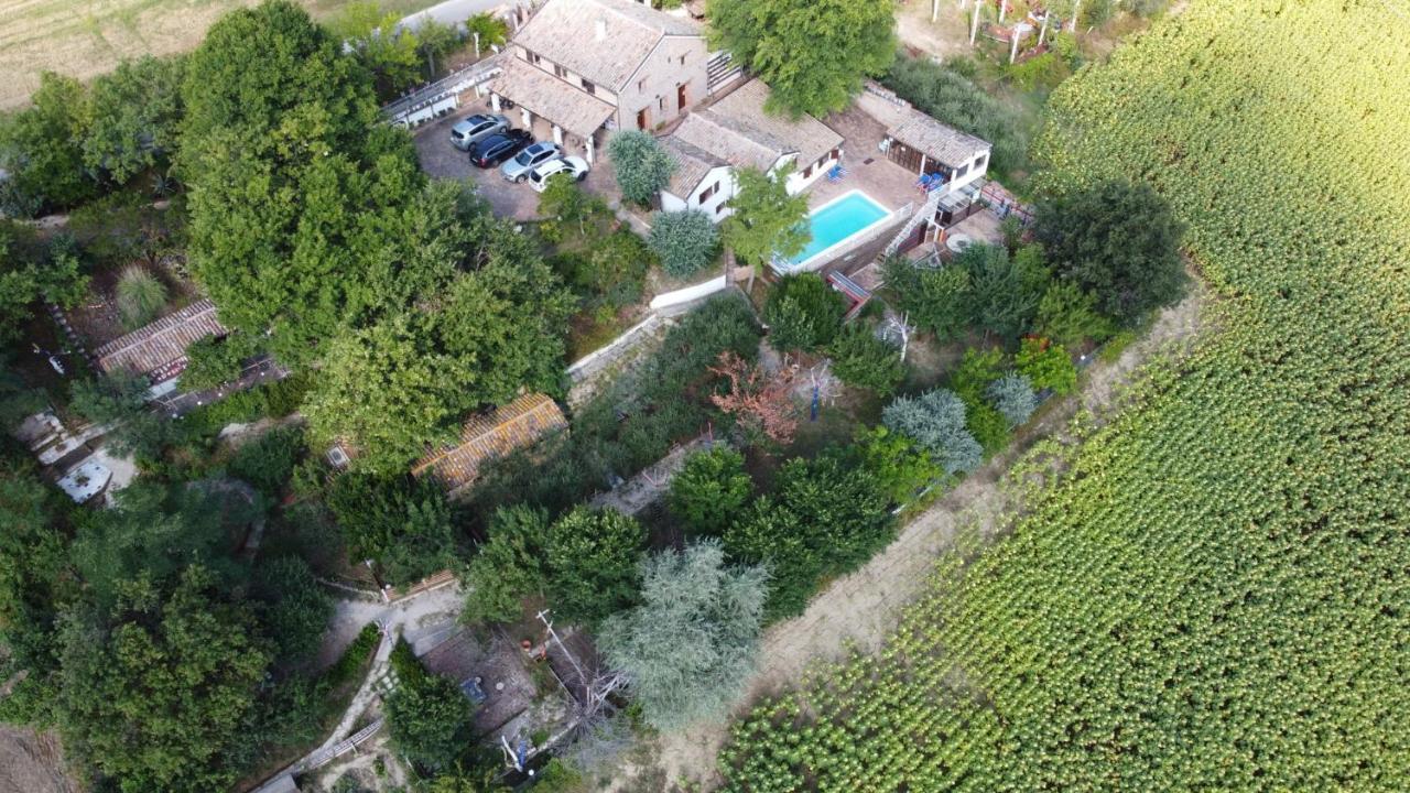 Barbagianni Villa Senigallia Buitenkant foto