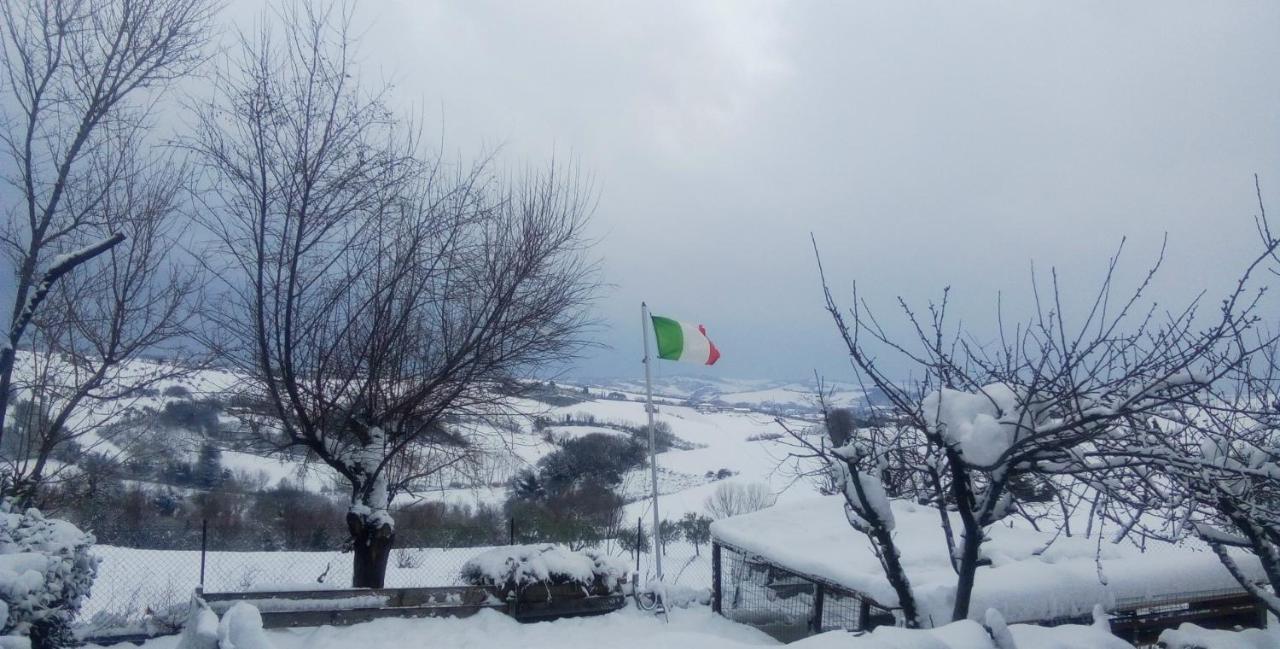 Barbagianni Villa Senigallia Buitenkant foto