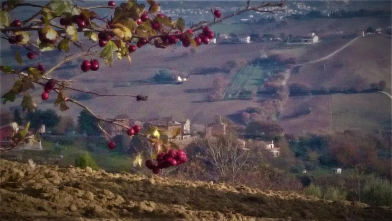 Barbagianni Villa Senigallia Buitenkant foto