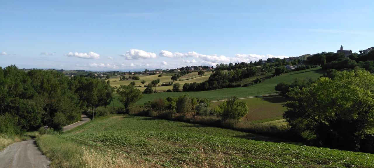 Barbagianni Villa Senigallia Buitenkant foto