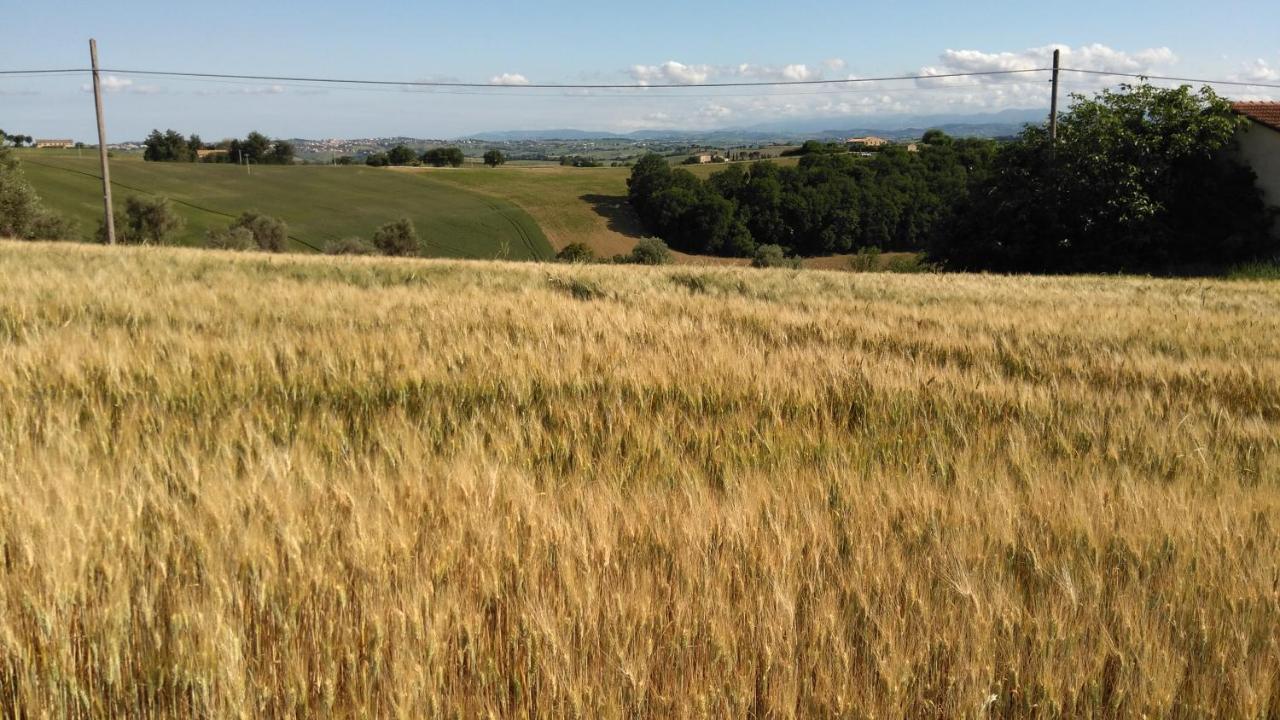 Barbagianni Villa Senigallia Buitenkant foto