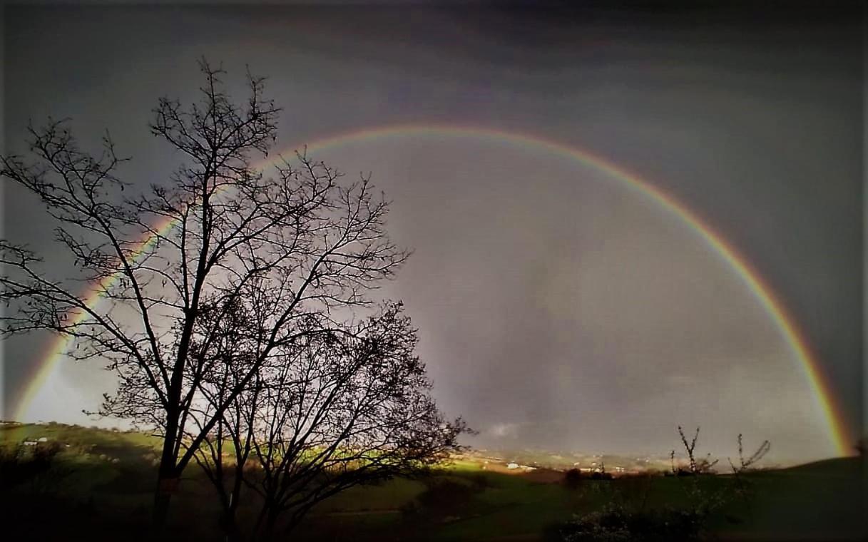 Barbagianni Villa Senigallia Buitenkant foto