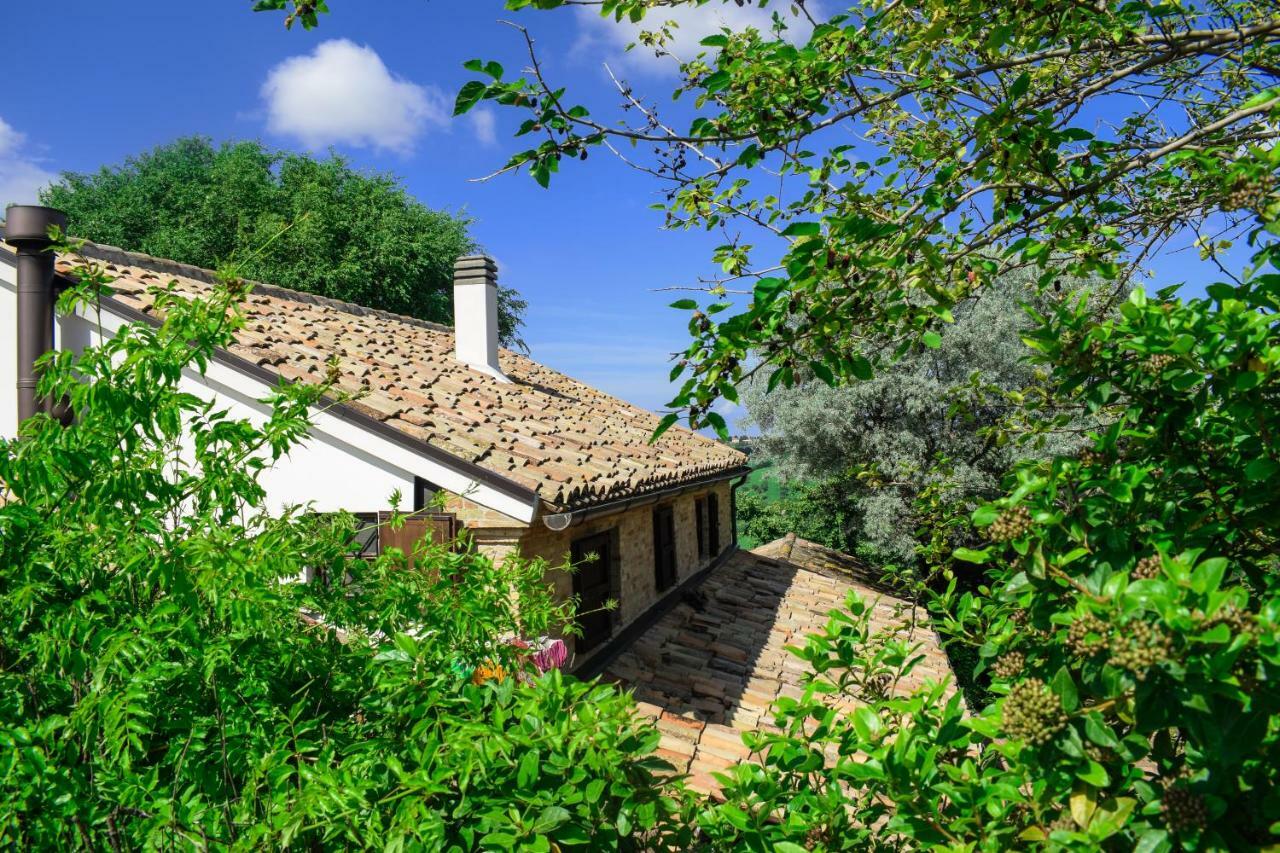 Barbagianni Villa Senigallia Buitenkant foto