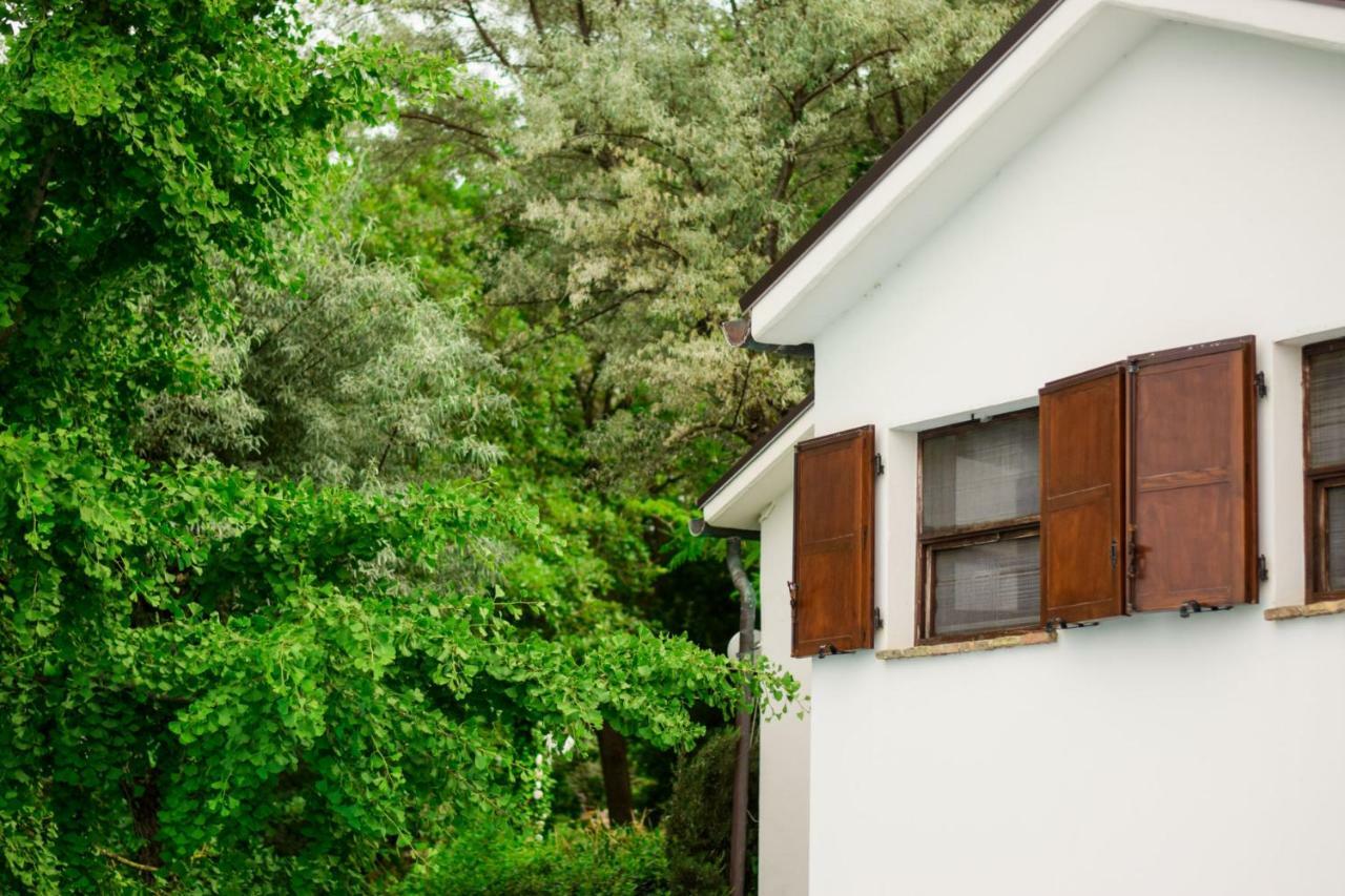 Barbagianni Villa Senigallia Buitenkant foto