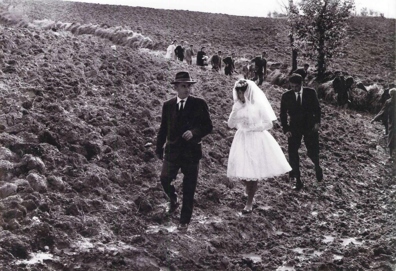 Barbagianni Villa Senigallia Buitenkant foto
